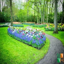 Tranh dán tường Hàn Quốc 3d khổ lớn ở Hà Nội NA - 458